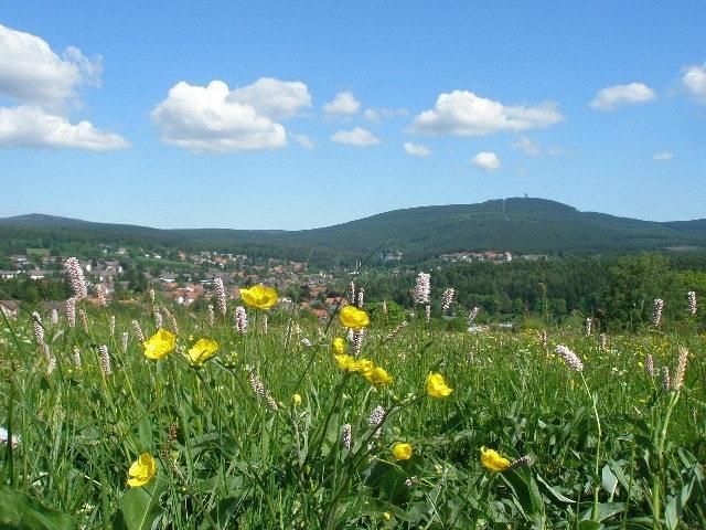 Harzpension Haus Koenigskopf Braunlage Εξωτερικό φωτογραφία
